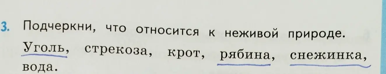 Подчеркни, что относится к неживой природе в заданном списке