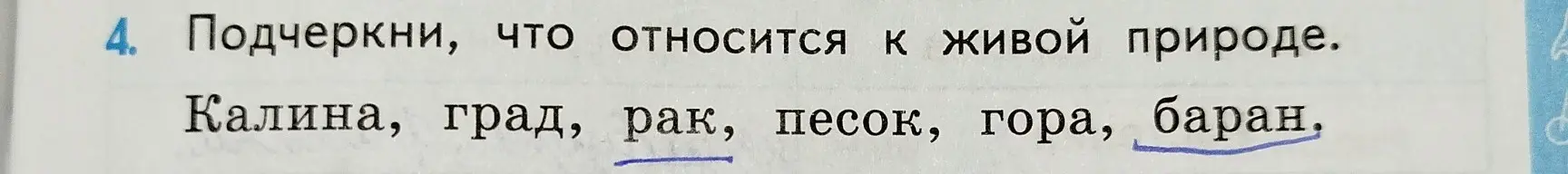 Подчеркни, что относится к живой природе в списке: Калина, град, рак, песок, гора, баран