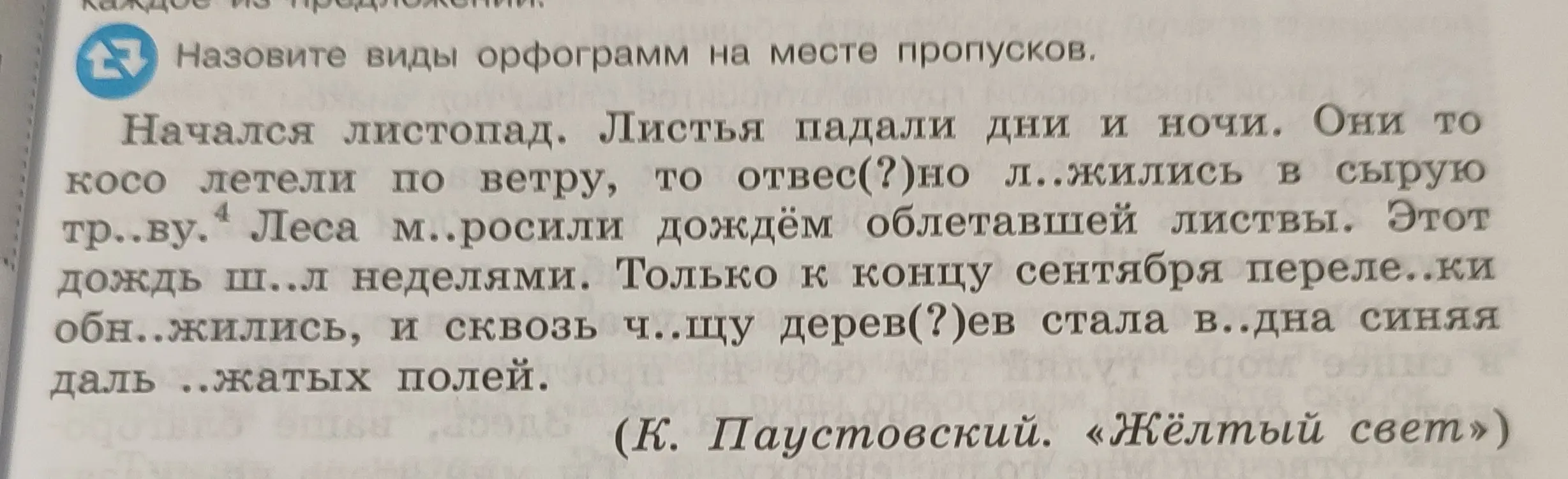 Назови виды орфограмм на месте пропусков в тексте.