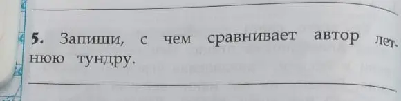 Запиши, с чем сравнивает автор летнюю тундру.
