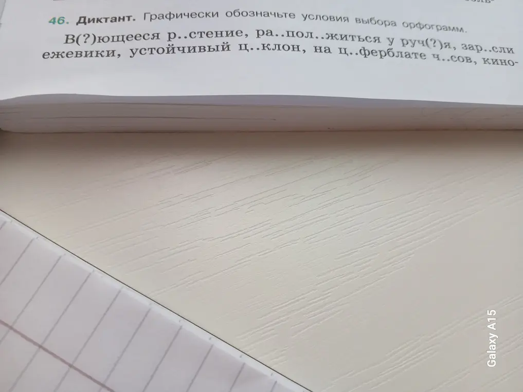 Выполни графическое обозначение условий выбора орфограмм в словах: В(?)ющееся р..стение, расположиться у руч(?)я, зар..сли ежевики и другие