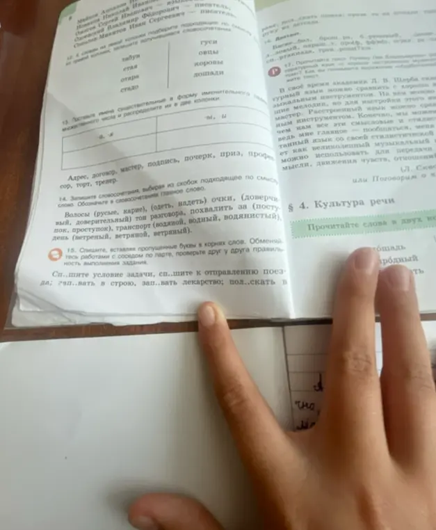 Выполни задания: составь словосочетания, измени слова во множественном числе, составь предложения с подходящими по смыслу словами, вставь пропущенные буквы.