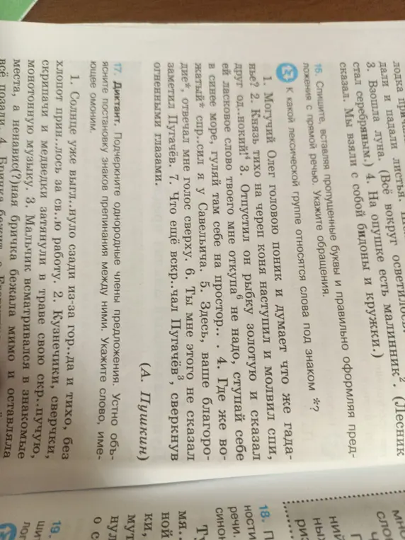 Почеркни однородные члены предложения в диктанте и объясни постановку знаков препинания между ними. Укажи слово, имеющее омоним.