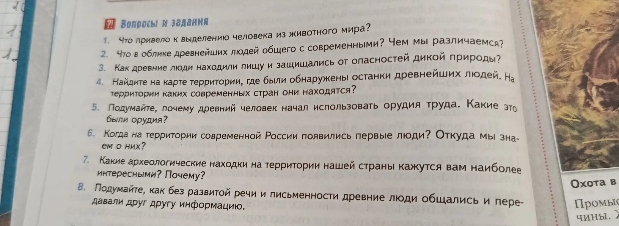 Что привело к выделению человека из животного мира?