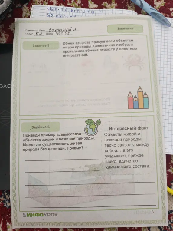 Выполни задание: схематично изобрази проявление обмена веществ у животных или растений, приведи пример взаимосвязи объектов живой и неживой природы. Может ли существовать живая природа без неживой?