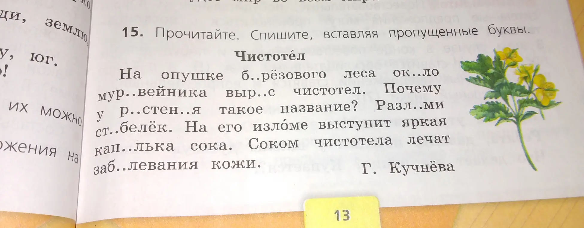 Помоги вставить пропущенные буквы в упражнении про чистотел