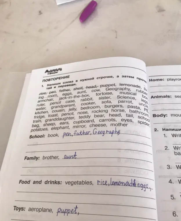 Напиши слова в нужной строчке и переведи
