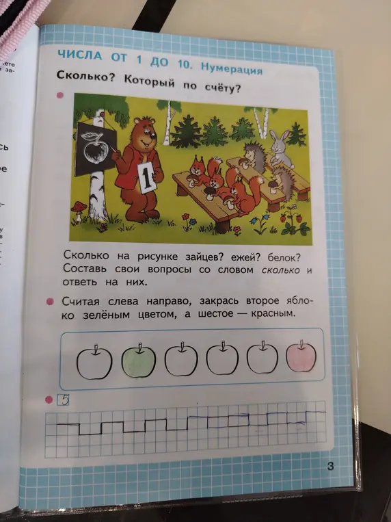Как выполнить задания на картинке, где нужно посчитать количество зайцев, ежей и белок, раскрасить яблоки и продолжить рисовать ломаную линию?