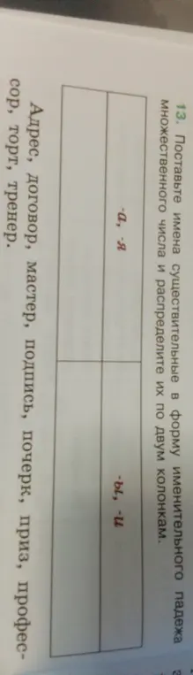 Помоги образовать форму множественного числа существительных в именительном падеже и распредели их по двум колонкам: -а, -я и -ы, -и