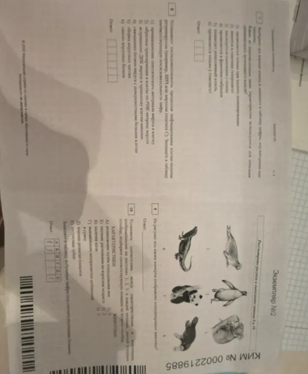 Выполни, пожалуйста, задания 7, 8, 9 и 10 по биологии