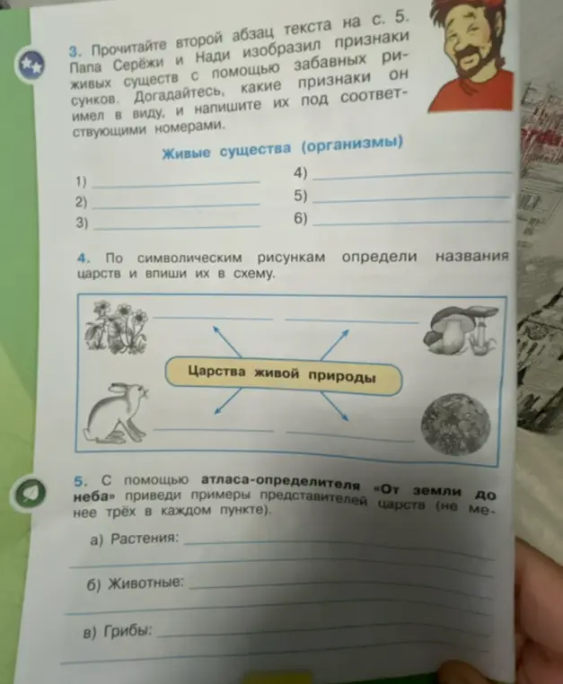Помоги по символическим рисункам определить названия царств и вписать их в схему, а также привести примеры представителей царств (не менее трёх в каждом пункте)