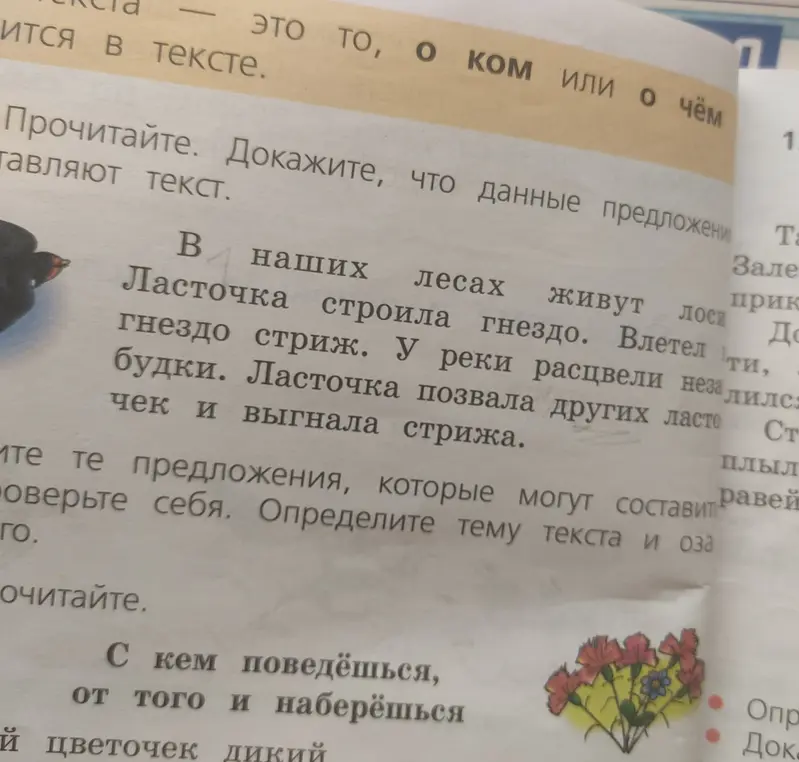 Определи тему текста про ласточку и стрижа