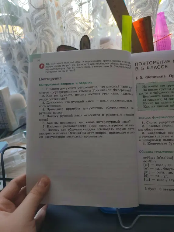 В каком документе установлено, что русский язык является государственным языком Российской Федерации?