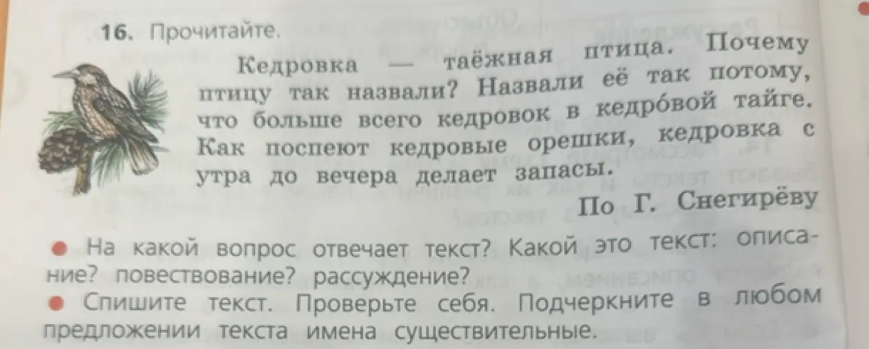 Помоги ответить на вопросы по тексту и подчеркнуть имена существительные в предложении.