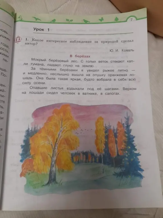 Какие интересные наблюдения за природой сделал автор в тексте про берёзы?