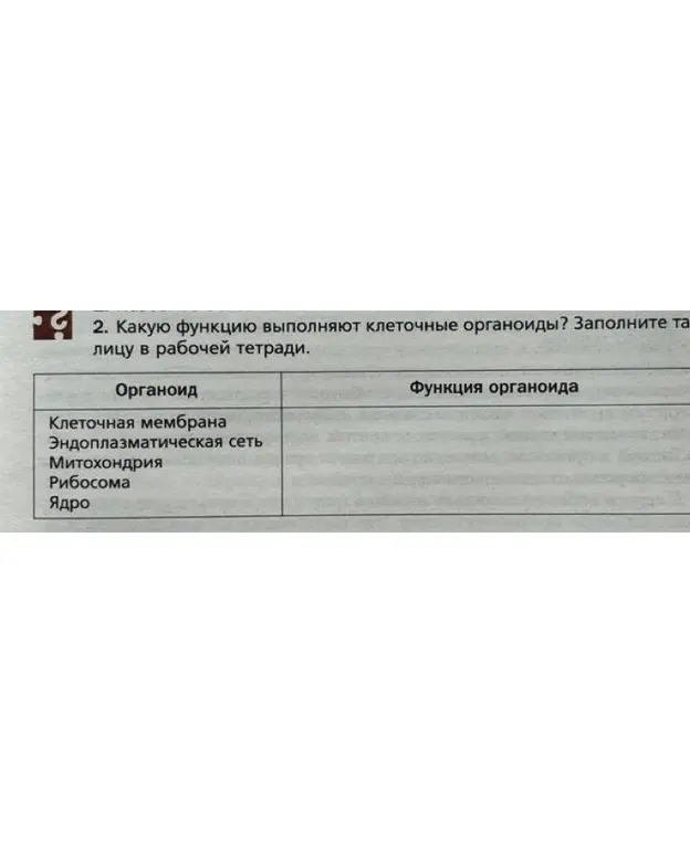 Ты просишь рассказать, какую функцию выполняют клеточные органоиды