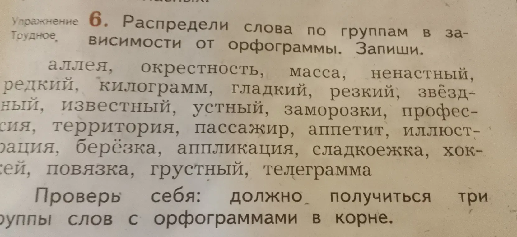 Предложи разбить слова по группам в зависимости от орфограммы: аллея, окрестность, масса, ненастный, редкий