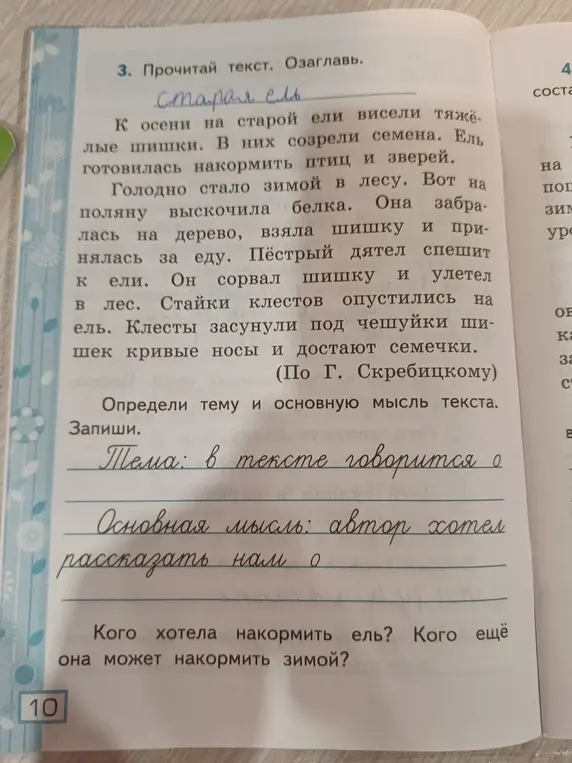 Определи тему и основную мысль текста про старую ель.