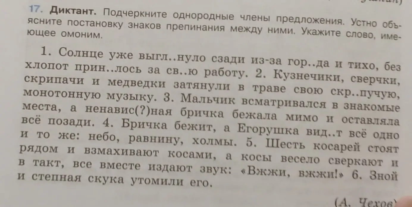 Ты просишь подчеркнуть однородные члены предложения, объяснить постановку знаков препинания между ними и указать слово, имеющее омоним.