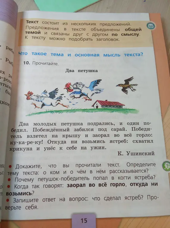 Помоги ответить на вопросы по тексту 'Два петушка': докажи, что прочитал текст, определи тему текста, объясни, почему петушок-победитель попал в когти ястреба, что сделал ястреб