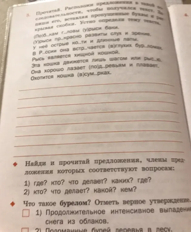Найди и прочитай предложения, члены предложения которых соответствуют вопросам: где? кто? что делает? каких? где?