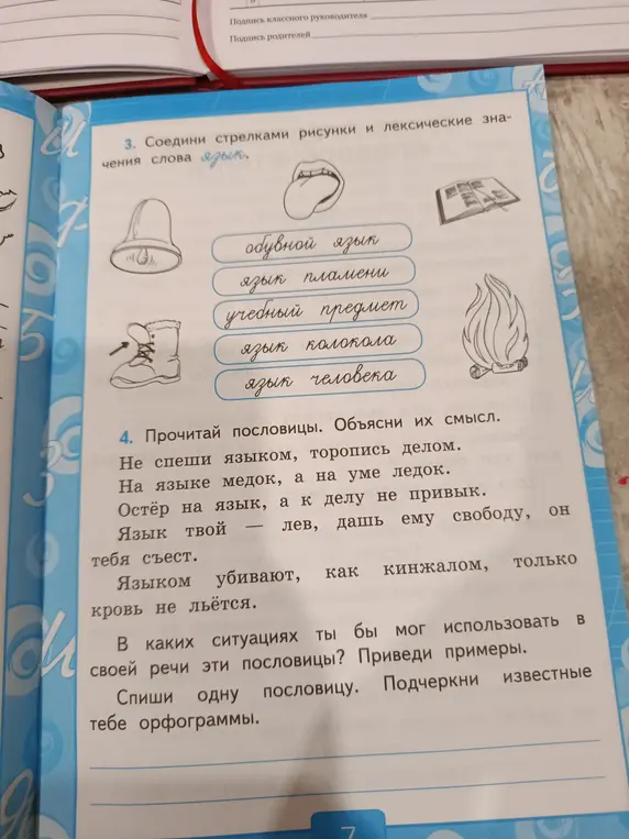 Соедини стрелками рисунки и лексические значения слова 'язык'
