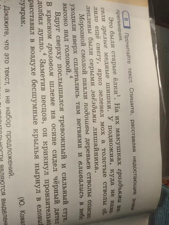 Предложено прочитать текст, списать, расставляя недостающие знаки препинания и доказать, что это текст, а не набор предложений.