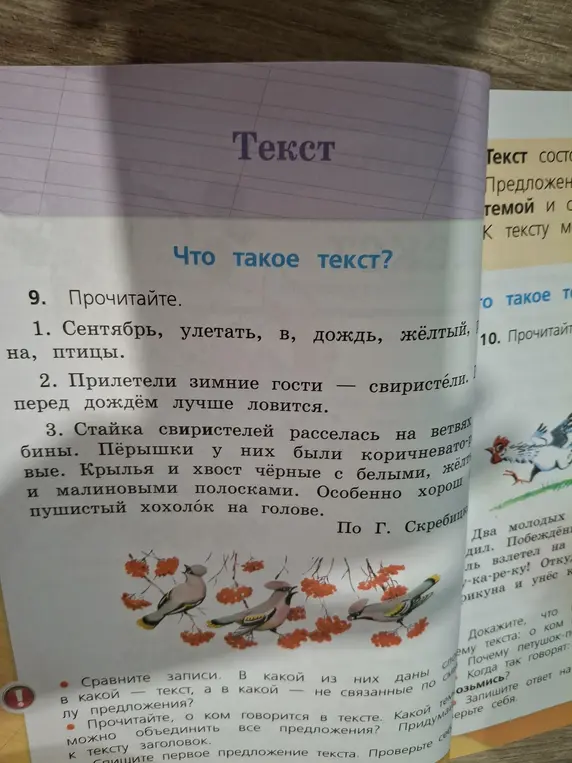 Сравни записи. В какой из них дан текст, а в какой - не связанные по смыслу предложения?