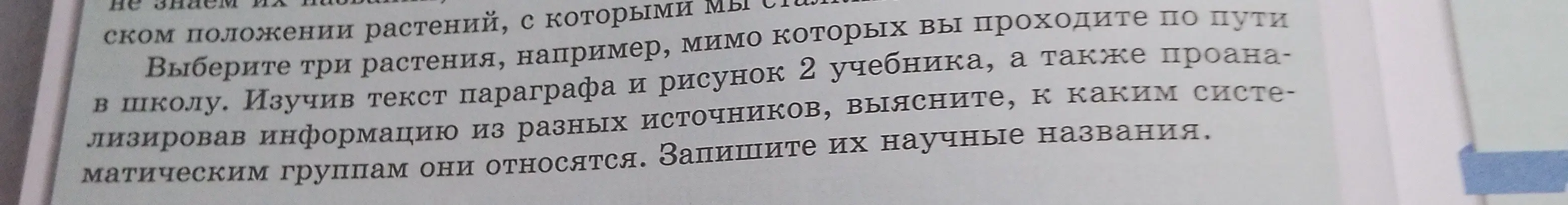Выбери три растения, мимо которых проходишь по пути в школу. Изучив текст параграфа и рисунок 2 учебника, а также проанализировав информацию из разных источников, выясни, к каким систематическим группам они относятся.