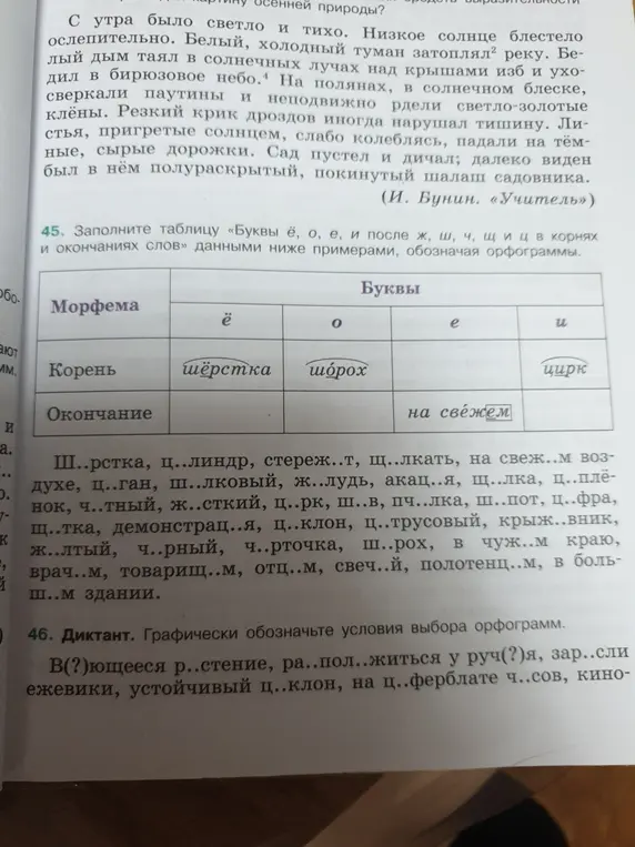Как правильно заполнить таблицу «Буквы ё, о, е, и после ж, ш, ч, щ и ц в корнях и окончаниях слов» и расставить пропущенные буквы в диктанте?