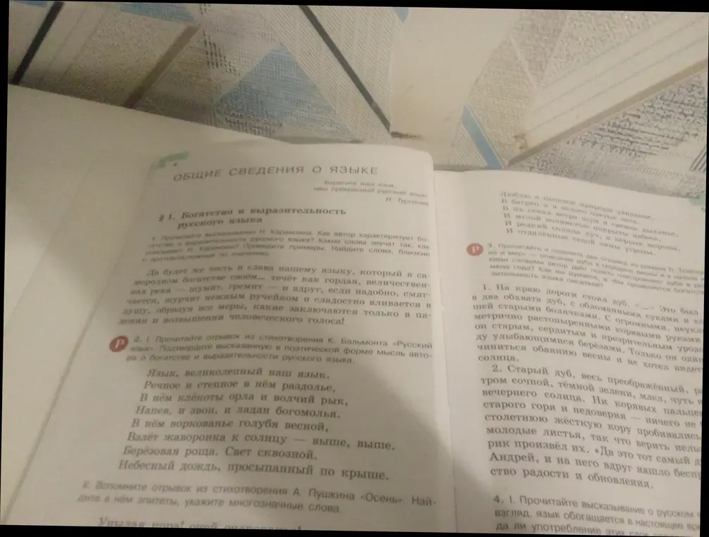 Прочитай отрывок из стихотворения К. Бальмонта «Русский язык» и подтверди высказанную мысль автора о богатстве и выразительности русского языка.