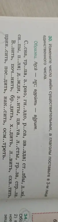 Измени число имён существительных в задании 30, а глаголы поставьте в 3-м лице единственного числа.