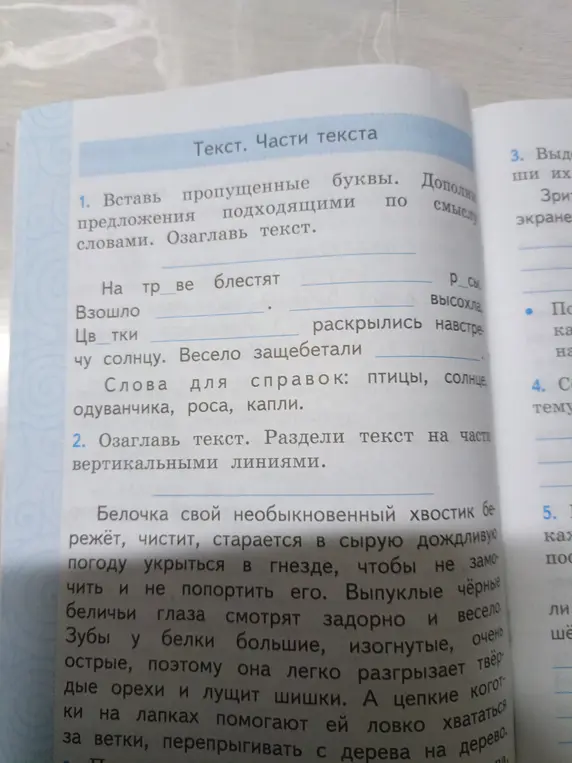 Вставь пропущенные буквы и дополни предложения: 'На тр_ве блестят', 'Взошло', 'Цв_тки раскрылись навстречу солнцу. Весело защебетали'.