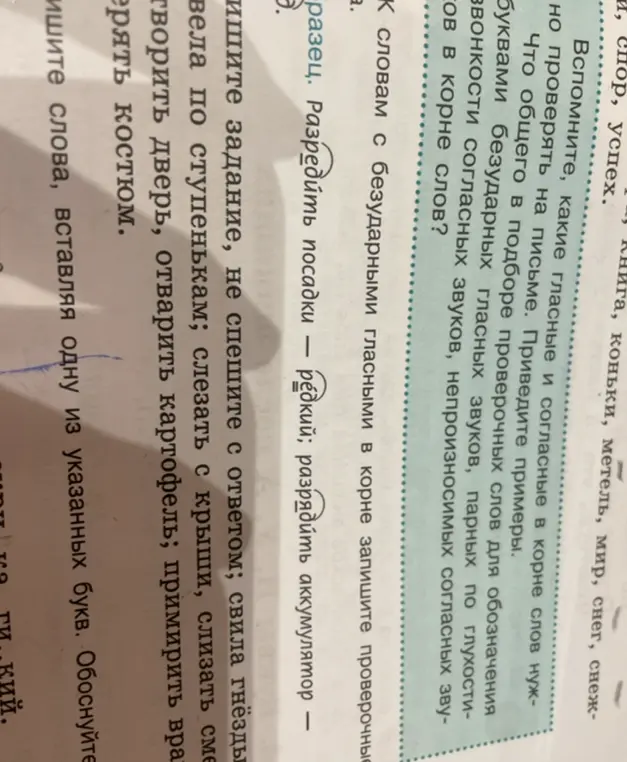 Объясни, что общего в подборе проверочных слов для обозначения буквами безударных гласных звуков, парных по глухости-звонкости согласных звуков, непроизносимых согласных звуков в корне слов?