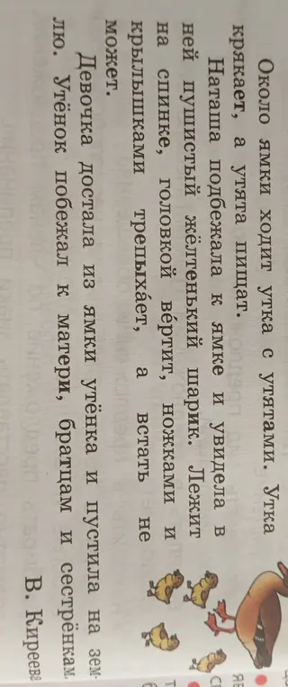 Опиши основную часть текста про утку с утятами для 3 класса