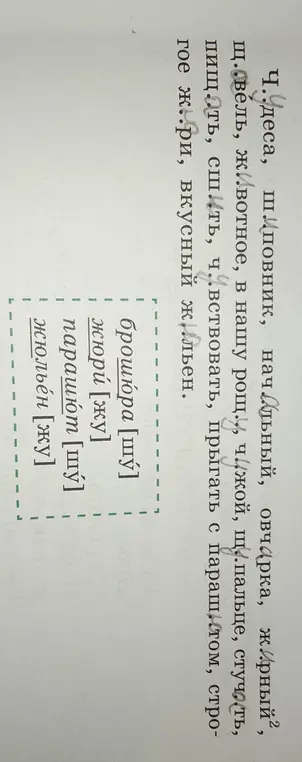 Выпиши слова с гласной и после шипящих в первый столбик, во второй - с гласной а, в третий - с гласной у. Какие слова не вошли ни в один из столбиков?