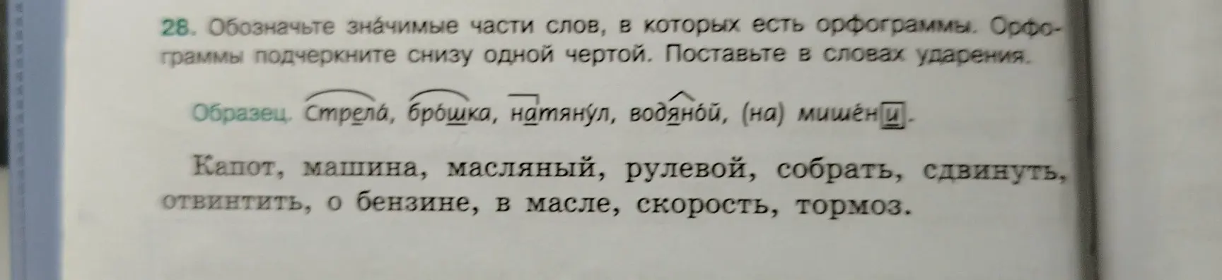 Обозначь значимые части слов, в которых есть орфограммы, подчеркни орфограммы и поставь в словах ударения в упражнении 28
