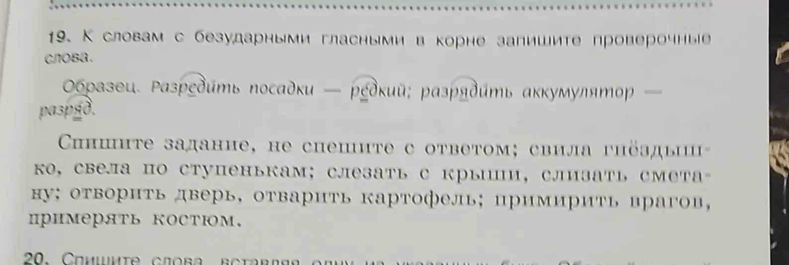 Подбери проверочные слова к словам с безударными гласными в корне: свила гнёздышко.