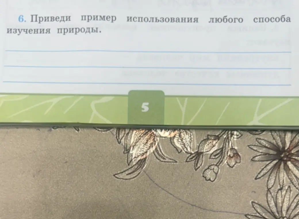 Приведи пример использования любого способа изучения природы.