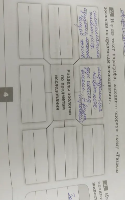 Заполни опорную схему «Разделы зоологии по предметам исследования»