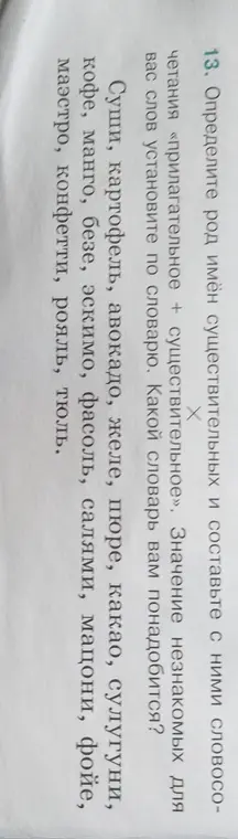 Определи род имён существительных: суши, картофель, авокадо, желе, пюре, какао, сулугуни, кофе, манго, безе, эскимо, фасоль, салями, мацони, фойе, маэстро, конфетти, рояль, тюль и составь с ними словосочетания «прилагательное + существительное»