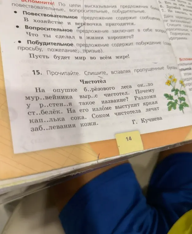 Предлагаешь вставить пропущенные буквы в тексте о чистотеле