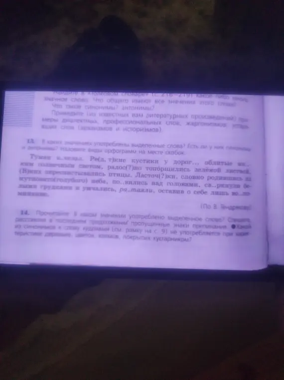 Можешь ли ты помочь мне с заданием, где нужно вставить пропущенные буквы и расставить знаки препинания в тексте?