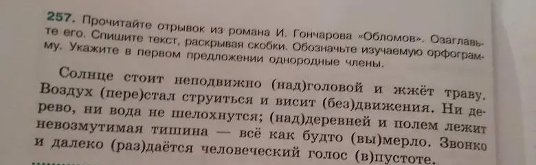 Прочитай отрывок из романа «Обломов». Спиши текст, раскрывая скобки. Обозначь изучаемую орфограмму. Укажи в первом предложении однородные члены.