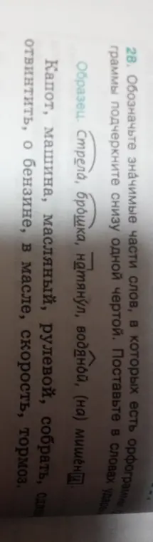Обозначь значимые части слов, в которых есть орфограммы