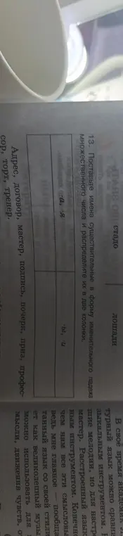 Помоги поставить имена существительные в форму множественного числа и распределить их в две колонки.