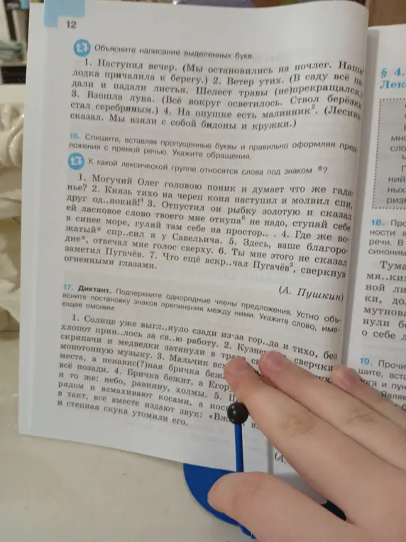 Выполни диктант. Подчеркни однородные члены предложения, устно объясни постановку знаков препинания между ними и укажи слово, имеющее омоним