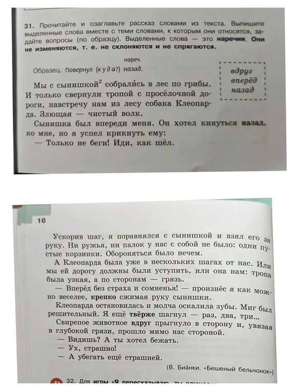 Выпиши выделенные слова вместе с теми словами, к которым они относятся, задай вопросы (по образцу) и озаглавь рассказ словами из текста