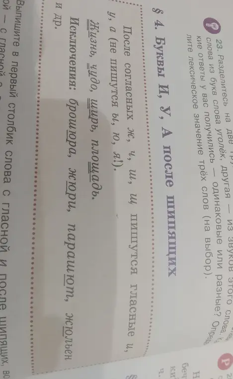 Объясни, какие буквы пишутся после шипящих