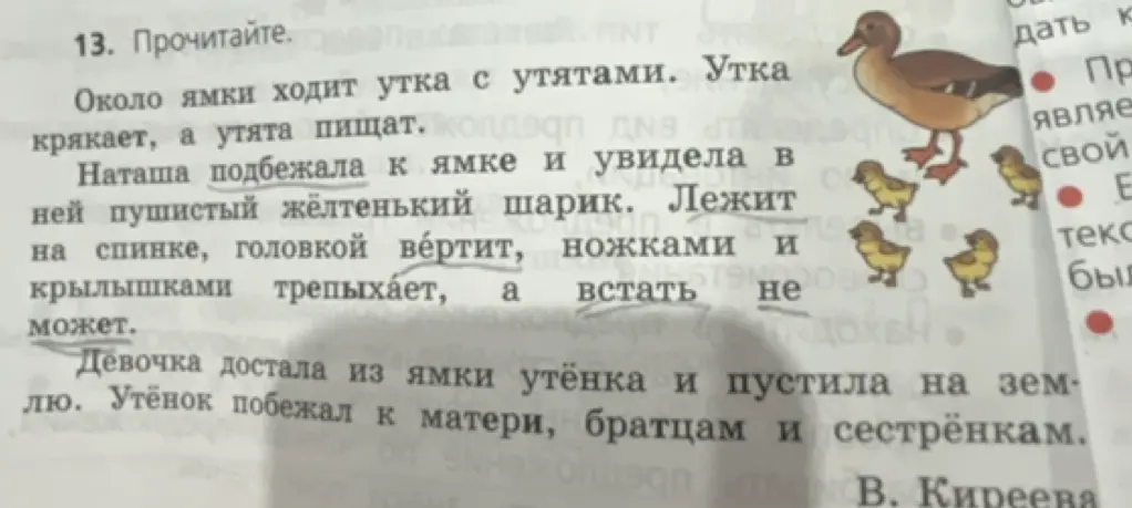 Прочитай текст.